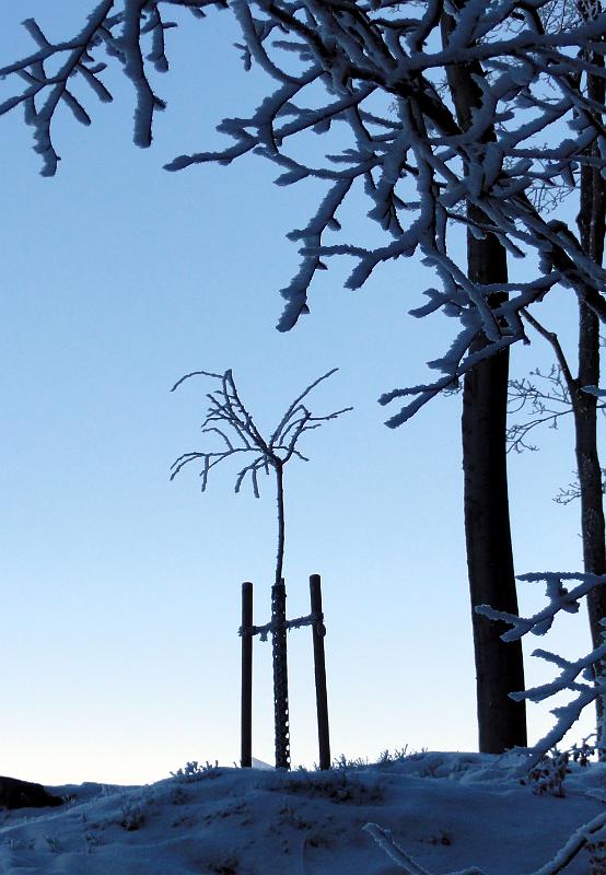 2011 01 03 A